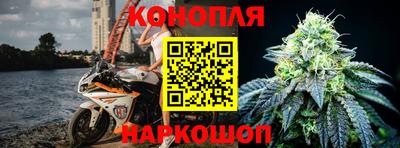 стаф Кингисепп